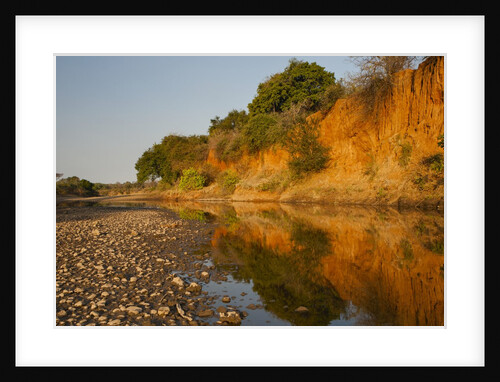 Riverbed, Zambezi National Park by Anonymous