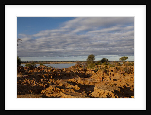 Banks Along Zambezi River by Anonymous