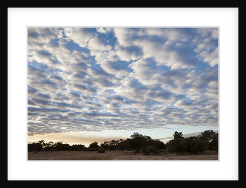 South Luwangwe National Park by Anonymous