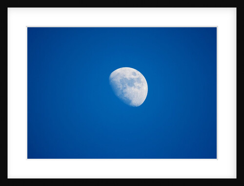 Moonrise, Acadia National Park, Maine by Anonymous