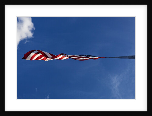 American Flag, Washington by Anonymous