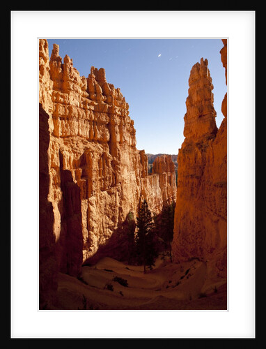 Bryce Canyon National Park, Utah by Anonymous