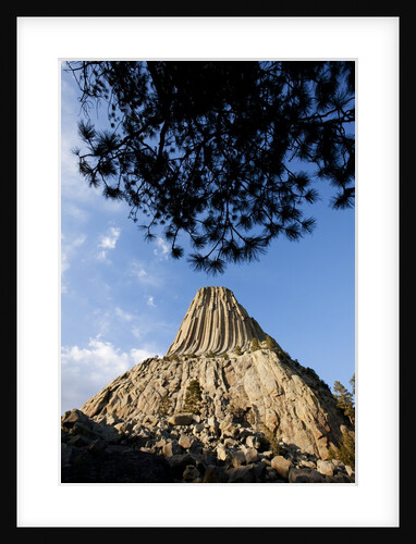 Devils Tower National Monument, Wyoming by Anonymous