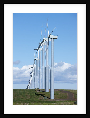 Windmills, Wallula, Washington by Anonymous
