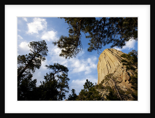 Devils Tower National Monument, Wyoming by Anonymous