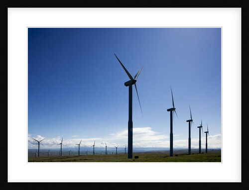 Windmills, Wallula, Washington by Anonymous