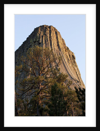 Devils Tower National Monument, Wyoming by Anonymous