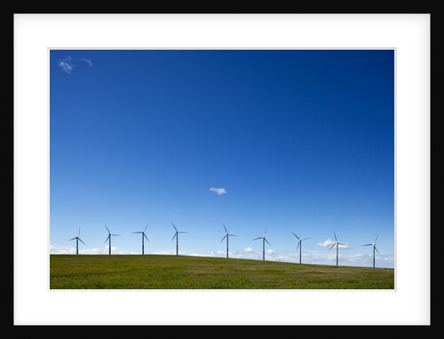Windmills, Wallula, Washington by Anonymous