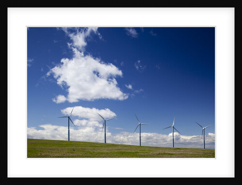 Windmills, Wallula, Washington by Anonymous