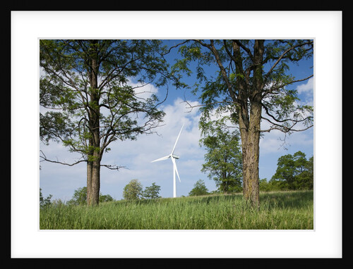 Wind Farm, West Virginia by Anonymous
