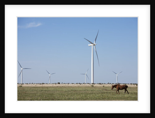 Wind Farm, Vega, Texas by Anonymous