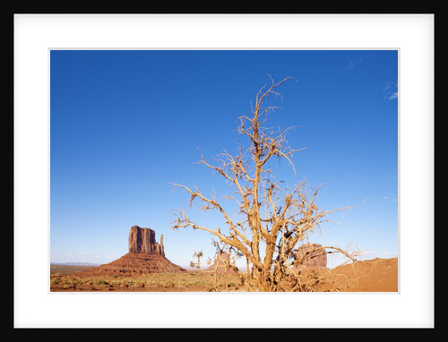 Monument Valley, Arizona by Anonymous