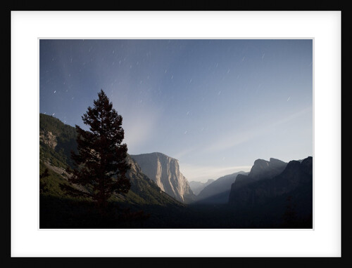 Yosemite National Park, California by Anonymous