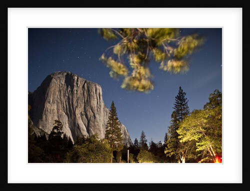 Yosemite National Park, California by Anonymous