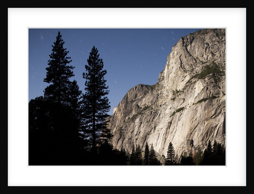 Yosemite National Park, California by Anonymous