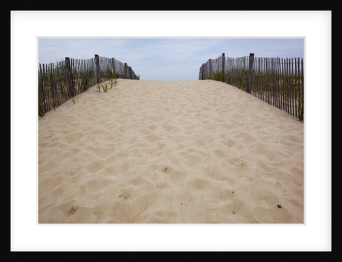 Rehobeth Beach, Delaware by Anonymous