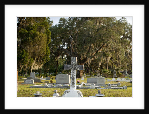 Bonaventure Cemetery, Savanna, Georgia by Anonymous