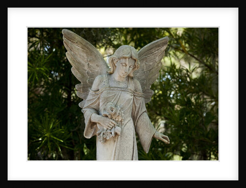 Bonaventure Cemetery, Savannah, Georgia by Anonymous
