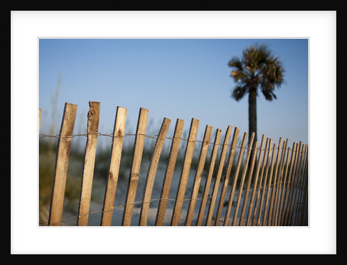 Beach at Sunset, Tybee Island, Georgia by Anonymous