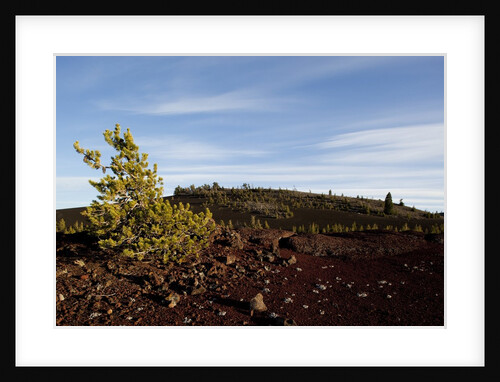 Volcanic Lava Fields, Craters of the Moon National Monument, Idaho by Anonymous
