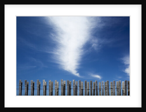 Cape Cod, Massachusetts by Anonymous
