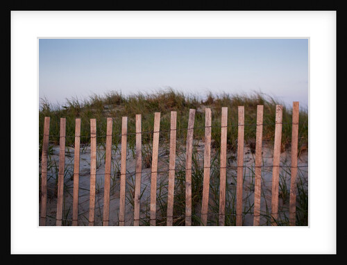 Fence in Sand Dunes, Cape Cod, Massachusetts by Anonymous