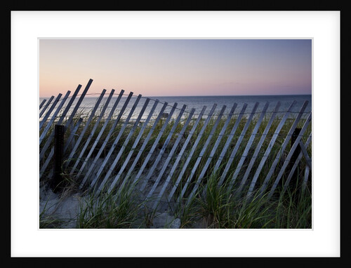 Fence in Sand Dunes, Cape Cod, Massachusetts by Anonymous