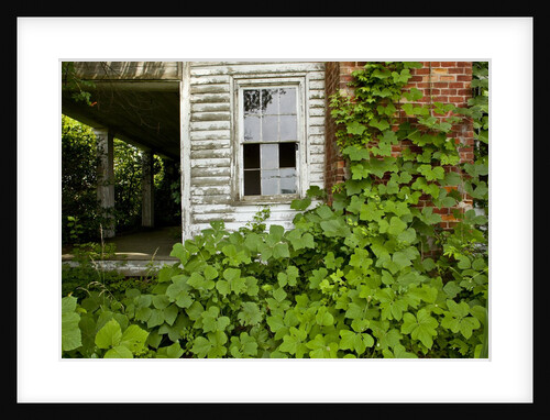 Abandoned Farmhouse, Armour, North Carolina by Anonymous