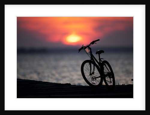 Bicycle at sunset, Jersey Shore, New Jersey by Anonymous