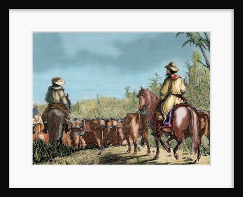 Argentina. Gauchos driving cattle by Anonymous