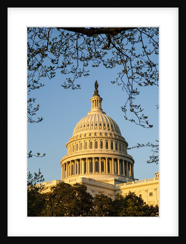 US Capitol Dome by Anonymous