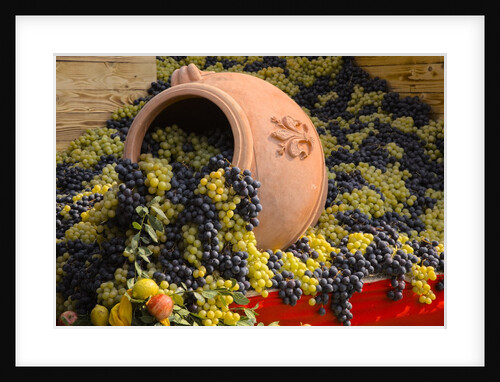 Vineyards near Monte Falco by Anonymous