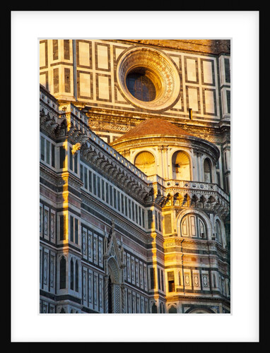 The Duomo of Florence with evening light by Anonymous