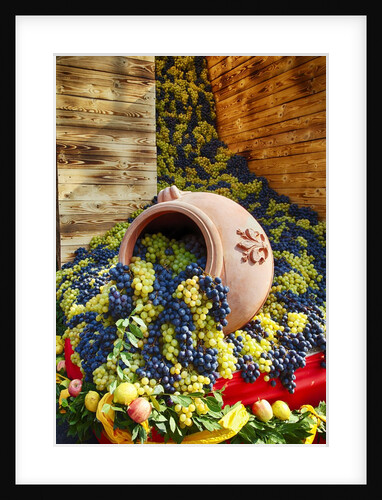 Harvested fresh grapes from the Tuscan fields by Anonymous