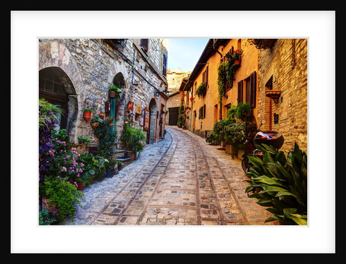 Street in Spello, Italy by Anonymous
