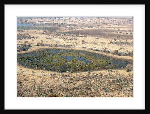 Okavango delta, Botswana by Anonymous
