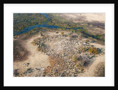 Okavango delta, Botswana by Anonymous
