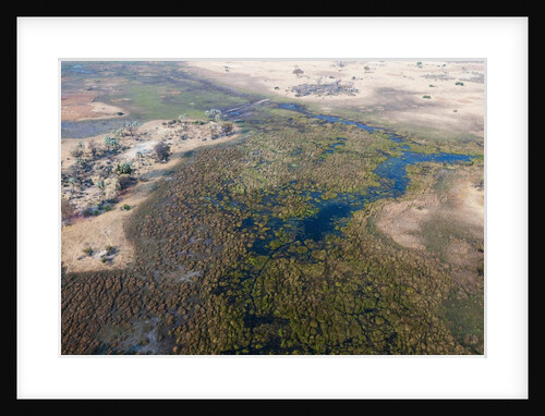 Okavango delta, Botswana by Anonymous