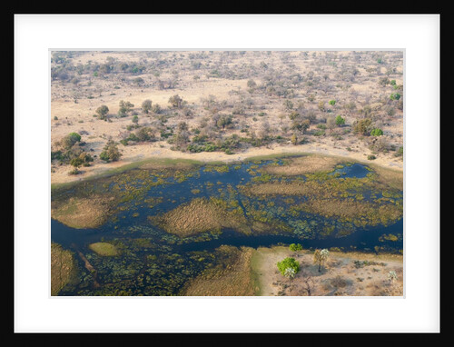 Okavango delta, Botswana by Anonymous