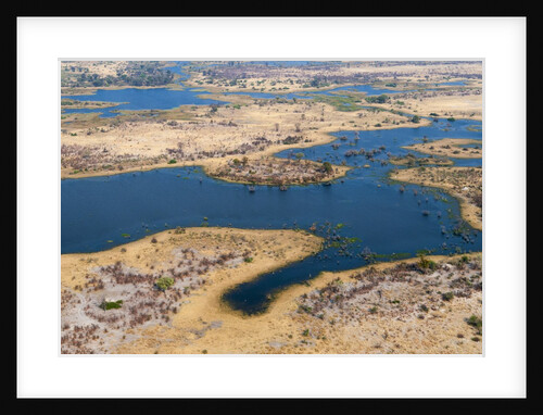 Okavango delta, Botswana by Anonymous