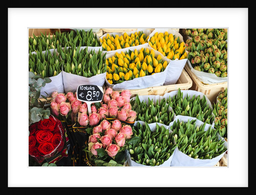 Flower market, Amsterdam by Anonymous