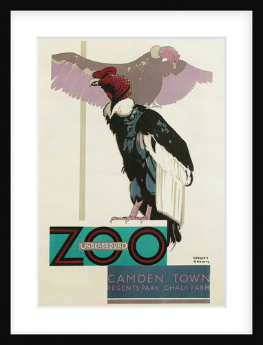 Buzzards, London Underground and Zoo by Anonymous