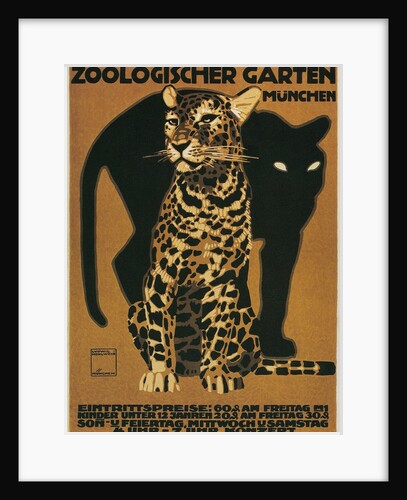 Leopard and Panther, Munich Zoo by Anonymous