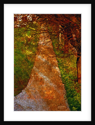 Way and Trees by Anonymous