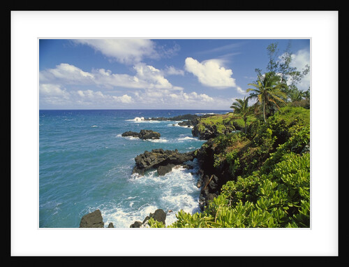 Wai'anapanapa park by Anonymous