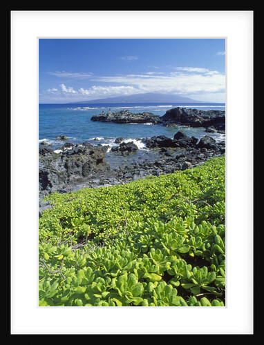 Waialua Bay by Anonymous