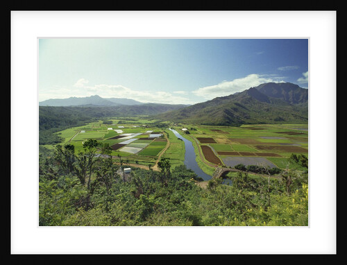 Hanaley Valley by Anonymous