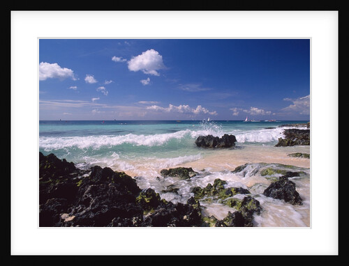 La Romana by Anonymous