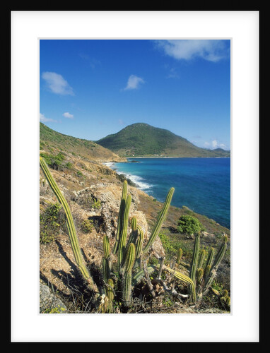 Anse du Grand Fond by Anonymous