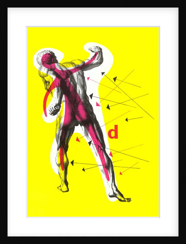 Poster of Arrows Pointing to Muscles by Anonymous